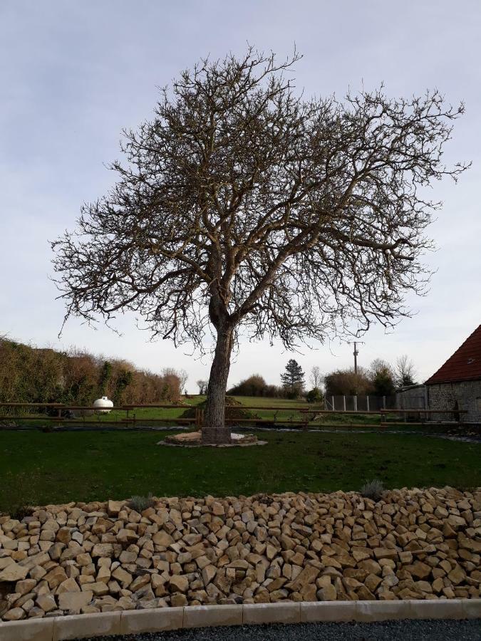 Gite " Le Vieux Noyer" Liesville-sur-Douve Exterior photo